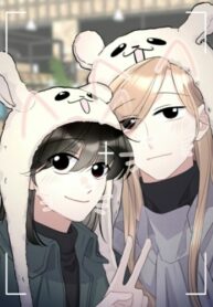 6202