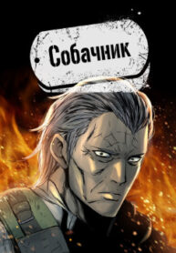 6248