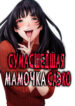 Cover 100173
