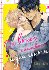 Cover 100233