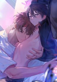 Cover 100246