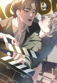 Cover 100273