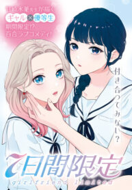 Cover 100333
