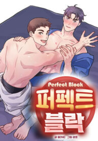 Cover 100337