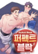 Cover 100337