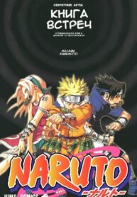 Cover 100579
