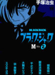 Cover 100591
