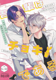 Cover 100679
