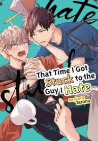 Cover 100854