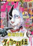 Cover 101009