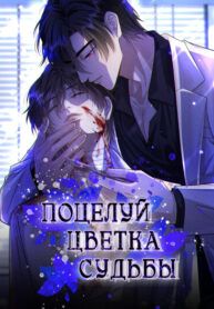 Cover 101079