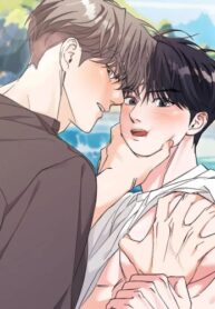 Cover 101264