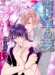 Cover 101571