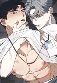 Cover 101781
