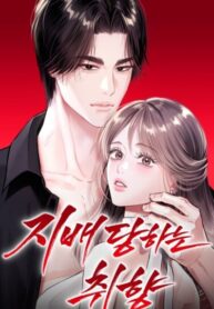 Cover 102061