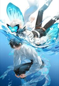 Cover 102079