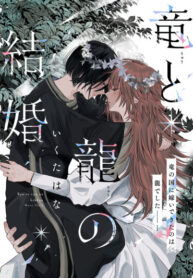 Cover 102091
