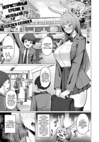 Cover 102353