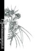 Cover 102544