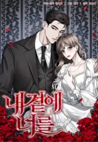 Cover 102747