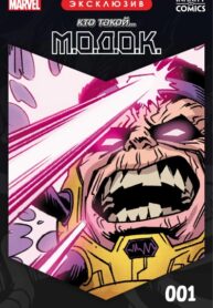 Cover 102761