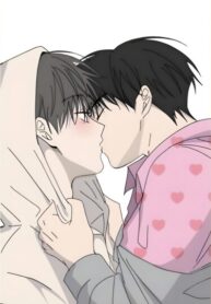 Cover 102959