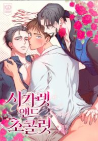 Cover 103163
