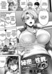 Cover 103388