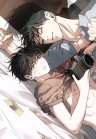 Cover 103397