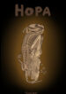 Cover 103646