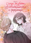 Cover 103702