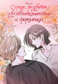 Cover 103702