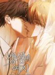 Cover 103971