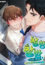 Cover 104157