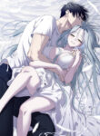 Cover 104397