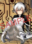 Cover 104411