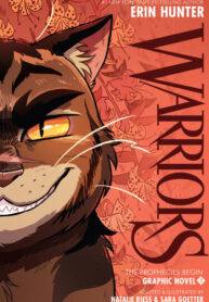 Cover 104531