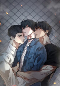 Cover 104560