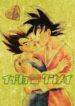 Cover 104678