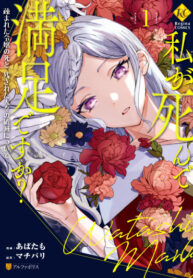 Cover 104698