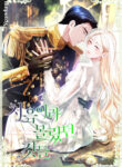 Cover 104704