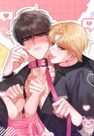 Cover 104746