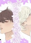 Cover 104907