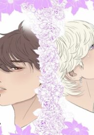 Cover 104907