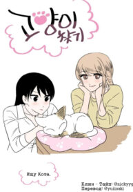 Cover 104966