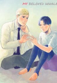 Cover 104978