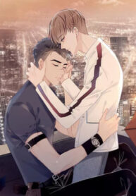 Cover 105044
