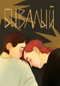 Cover 105078