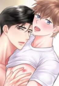 Cover 105166