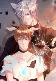 Cover 105206